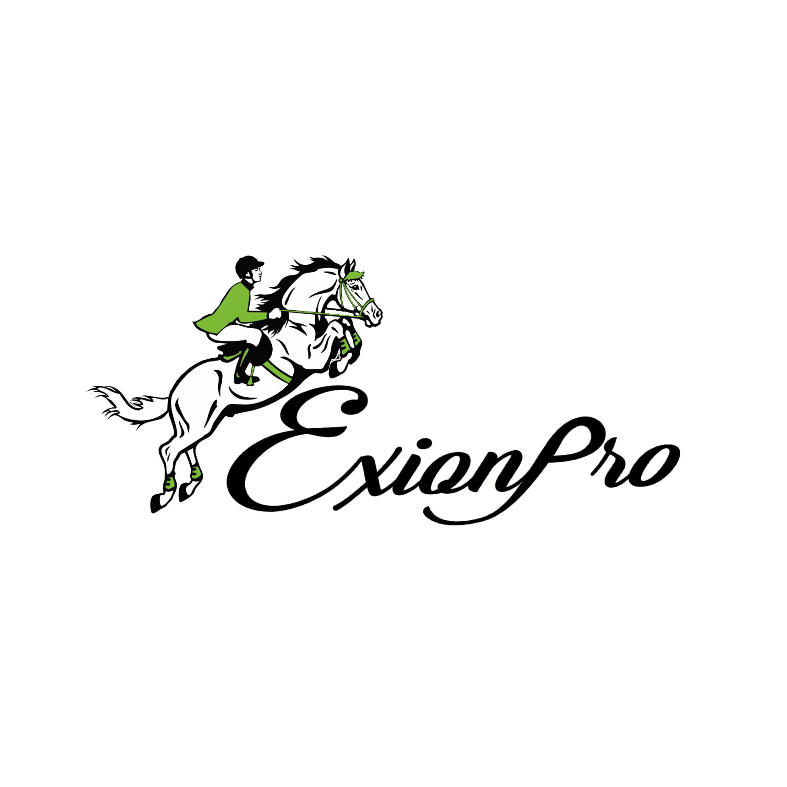 ExionPro Leather Horse Tendon Show Jump Boots - 404